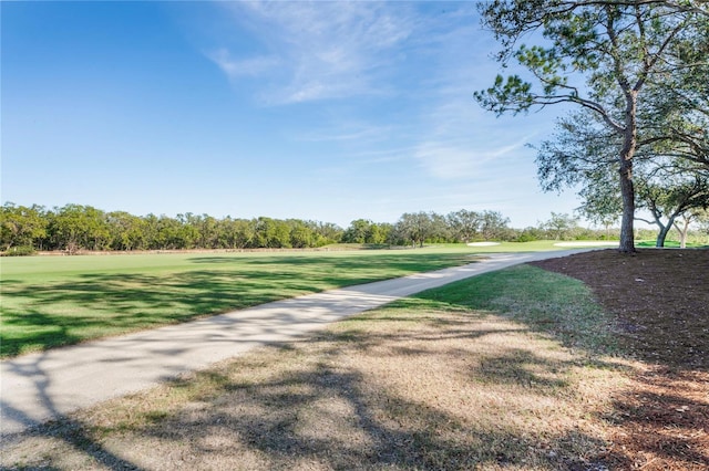 view of property's community with a yard