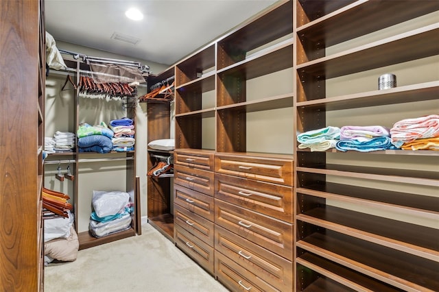 spacious closet featuring light carpet