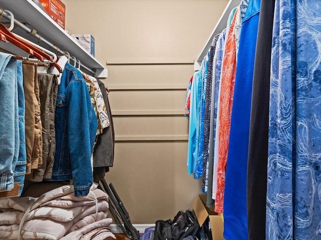 5108 Amulet Dr Unit 206, New Port Richey, FL 34652 - view of spacious closet