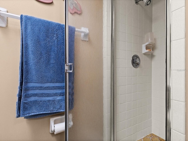 5108 Amulet Dr Unit 206, New Port Richey, FL 34652 - bathroom featuring walk in shower