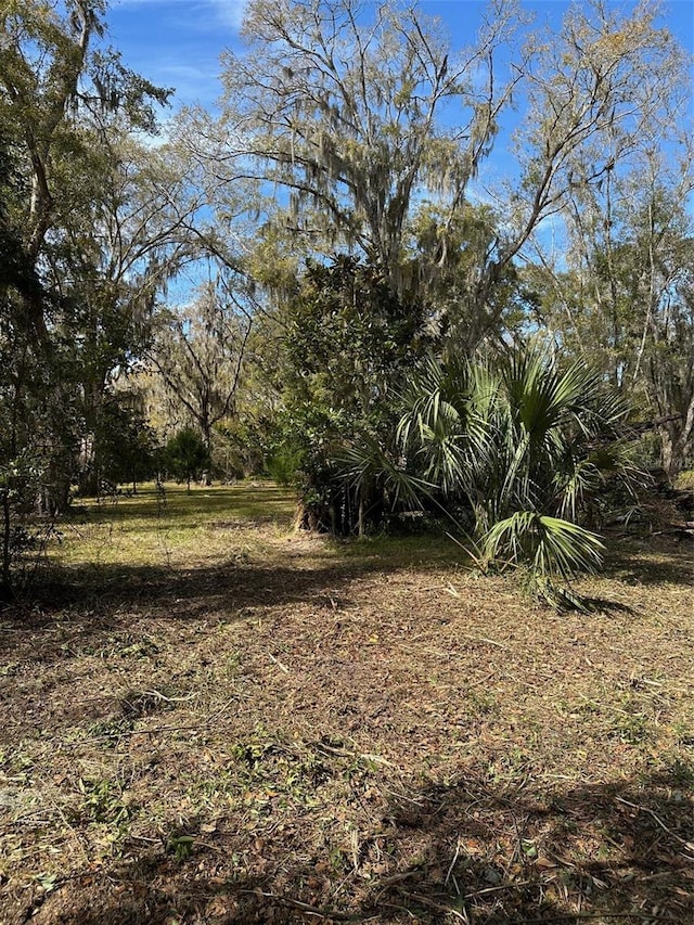 Listing photo 3 for 0 Yontz Rd, Brooksville FL 34601