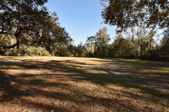 view of local wilderness