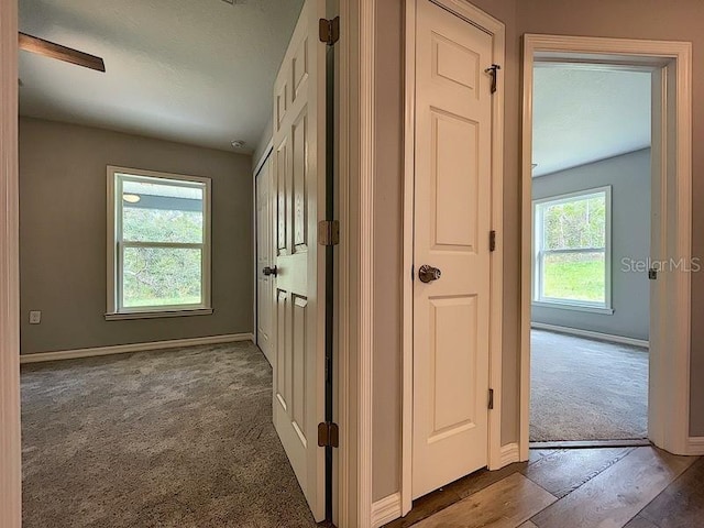 hallway with carpet floors