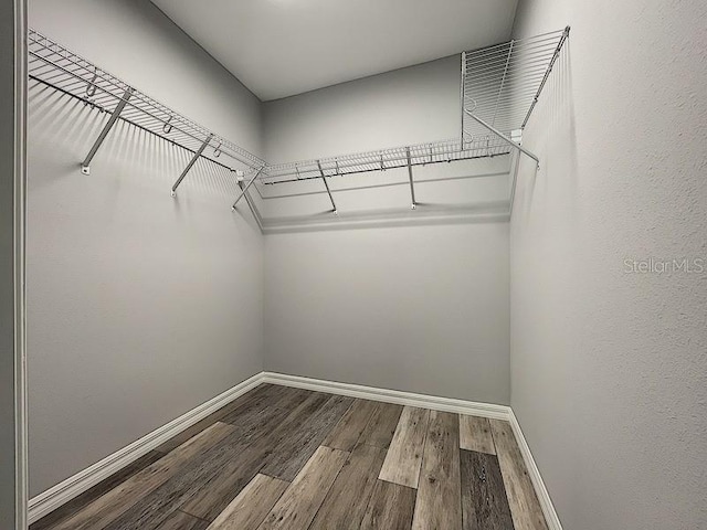 walk in closet featuring hardwood / wood-style flooring