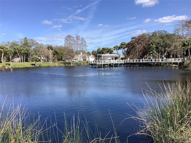 4736 Jasper Dr Unit 207, New Port Richey, FL 34652 - water view