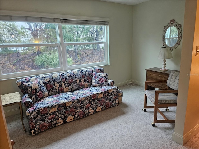 living room featuring light carpet