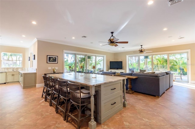 kitchen featuring a kitchen island with sink and a wealth of natural light