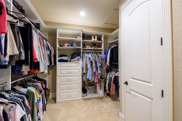 spacious closet featuring light colored carpet