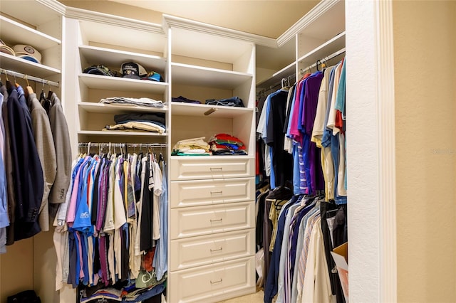 spacious closet with light carpet