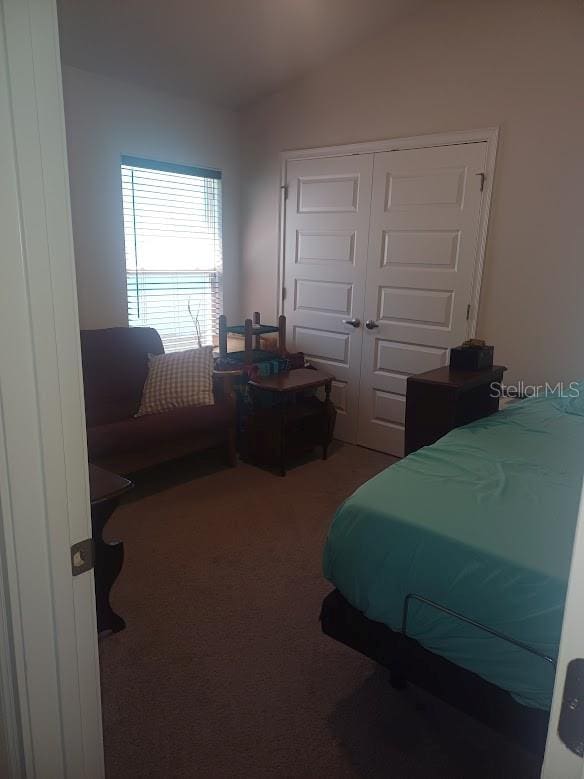 carpeted bedroom with vaulted ceiling and a closet