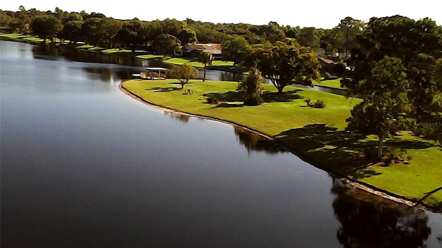 property view of water