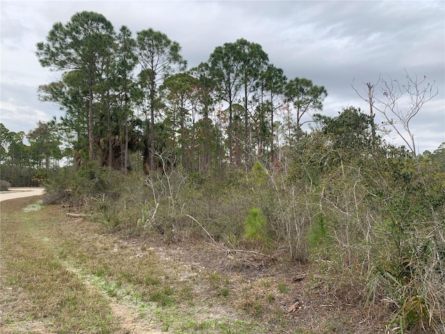 Address Not Disclosed, Cedar Key FL, 32625 land for sale