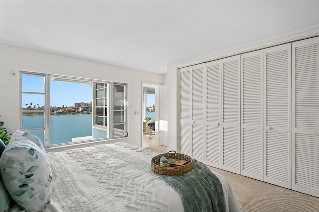 carpeted bedroom featuring a closet and a water view