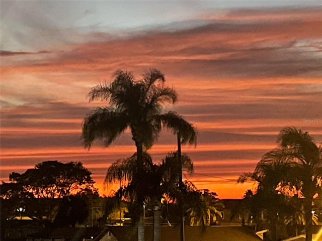 view of nature at dusk