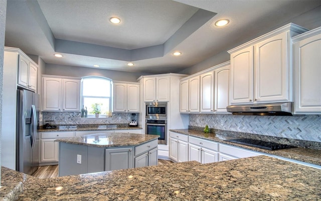 kitchen featuring white cabinets, dark stone countertops, appliances with stainless steel finishes, and a tray ceiling