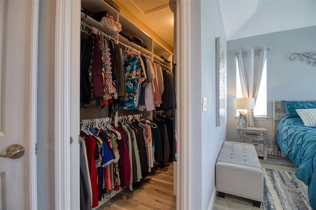 walk in closet with wood finished floors