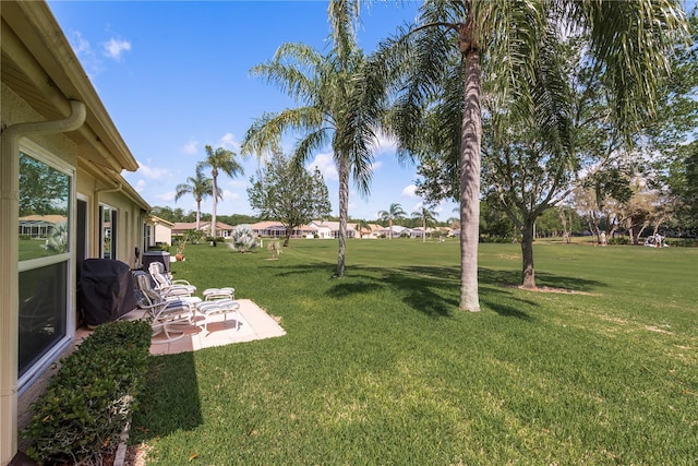 view of yard featuring a patio area