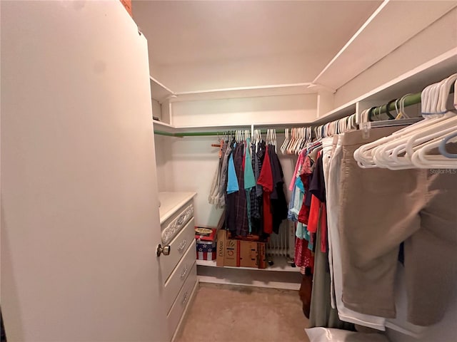 view of walk in closet