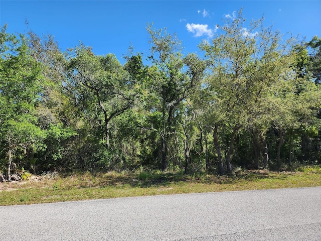 10389 Marvista Ct, Weeki Wachee FL, 34614 land for sale