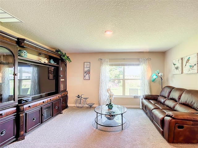 living room with carpet and a textured ceiling