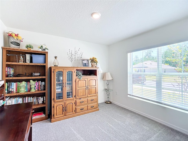 interior space featuring light carpet and a textured ceiling