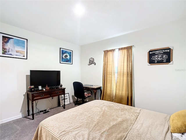 bedroom featuring carpet