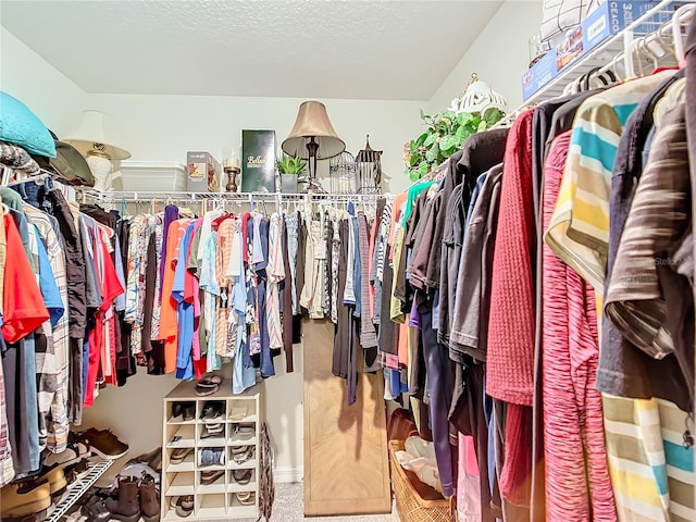 walk in closet with carpet floors