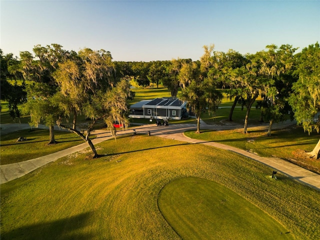 view of property's community with a yard