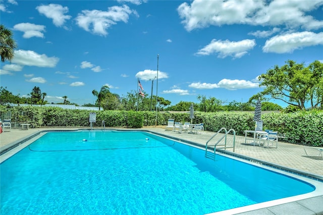 view of pool with a patio