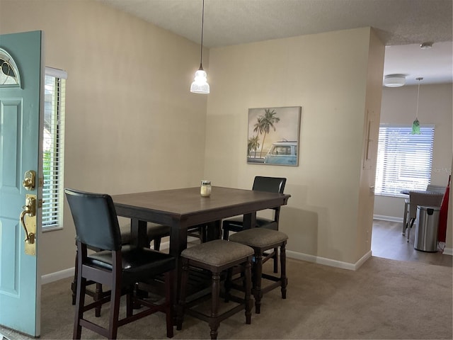 dining room with a textured ceiling and hardwood / wood-style flooring