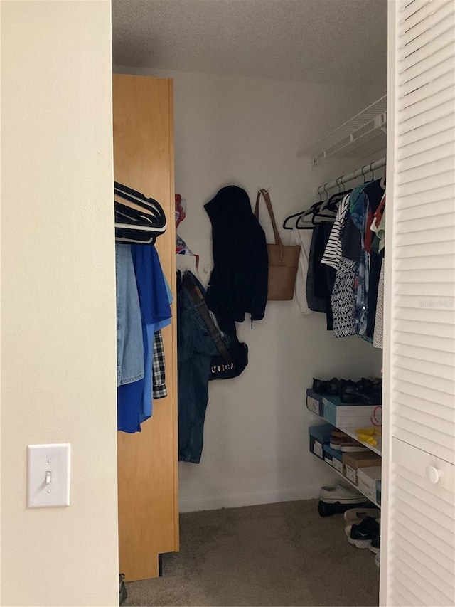 spacious closet featuring carpet flooring