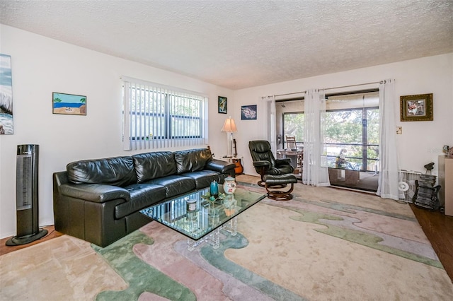 living room featuring a wealth of natural light, wood-type flooring, and a textured ceiling