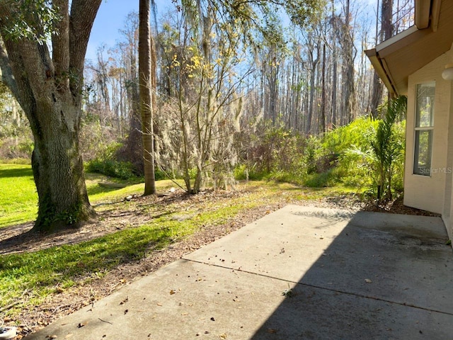 view of yard with a patio