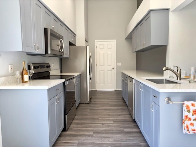 kitchen featuring stainless steel appliances, dark hardwood / wood-style flooring, and sink