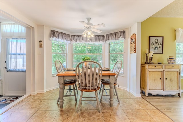 dining space featuring ceiling fan, a healthy amount of sunlight, and light hardwood / wood-style floors