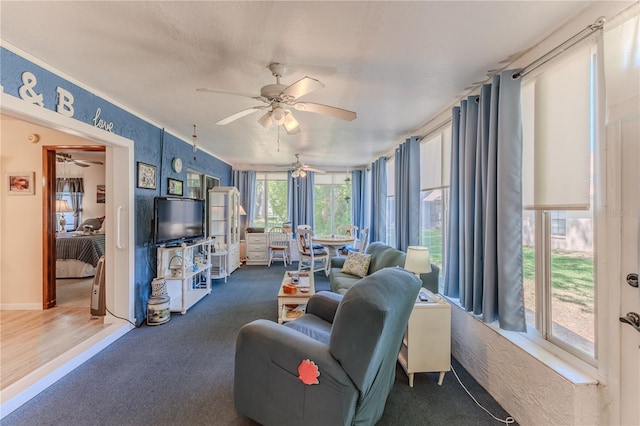 carpeted living room with a healthy amount of sunlight