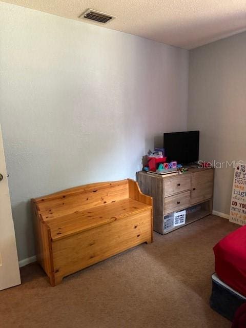 carpeted bedroom with a textured ceiling