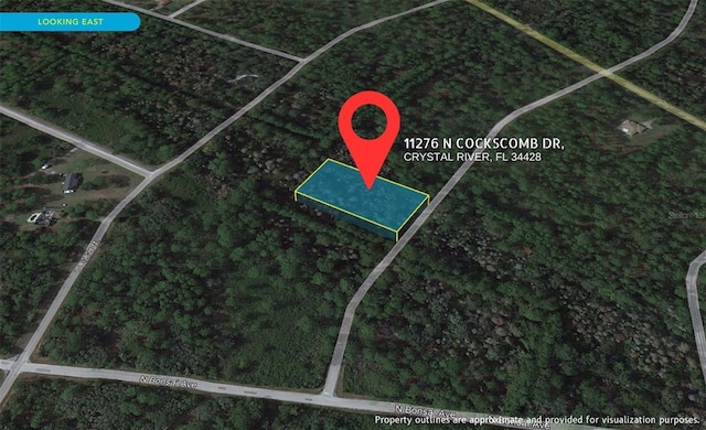 11276 W Cockscomb Dr, Crystal River FL, 34428 land for sale