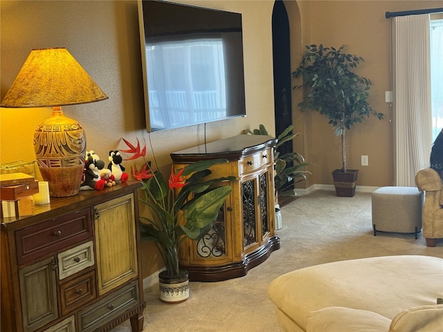 sitting room featuring light carpet