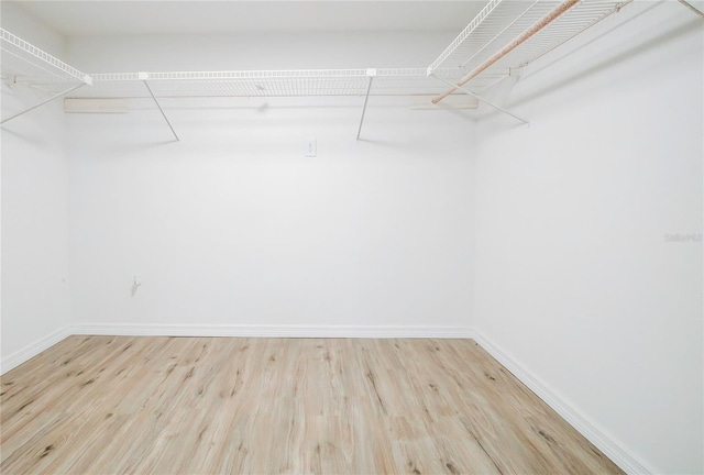 walk in closet featuring light hardwood / wood-style floors