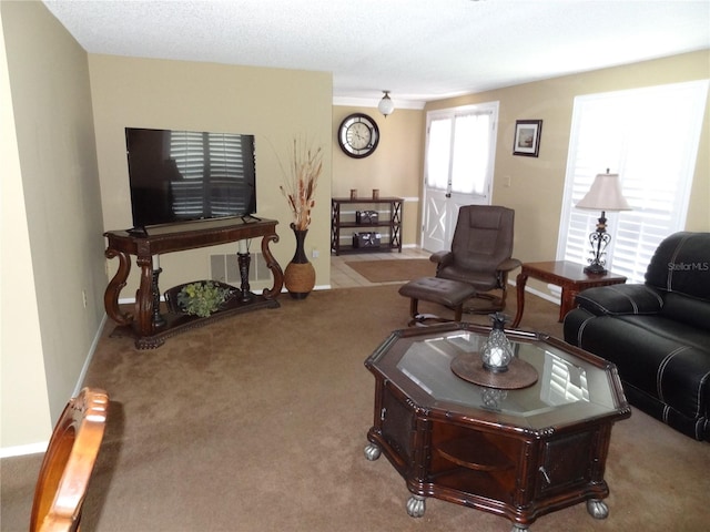 living room with carpet flooring