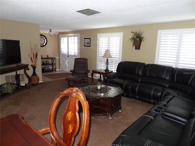 carpeted living room with a textured ceiling