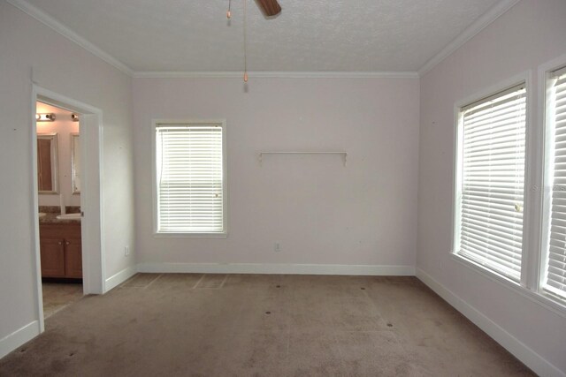 spare room featuring ceiling fan, crown molding, and light carpet