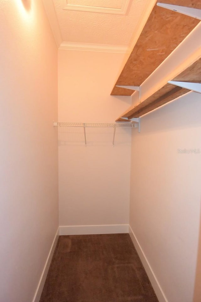 walk in closet featuring carpet