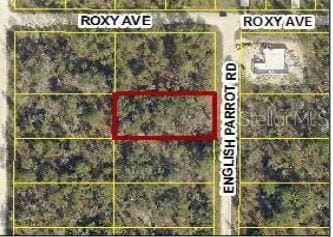 14100 English Parrot Rd, Weeki Wachee FL, 34614 land for sale