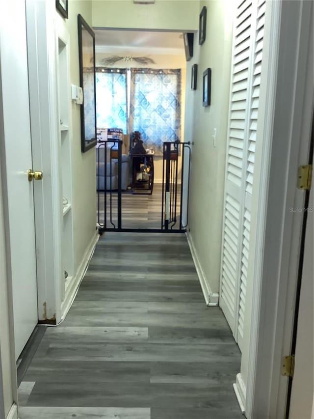 hallway featuring dark hardwood / wood-style flooring