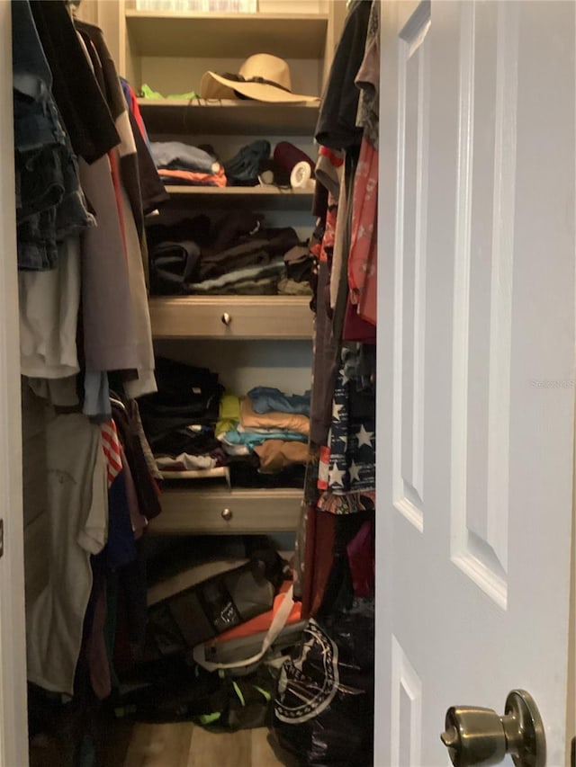 view of walk in closet