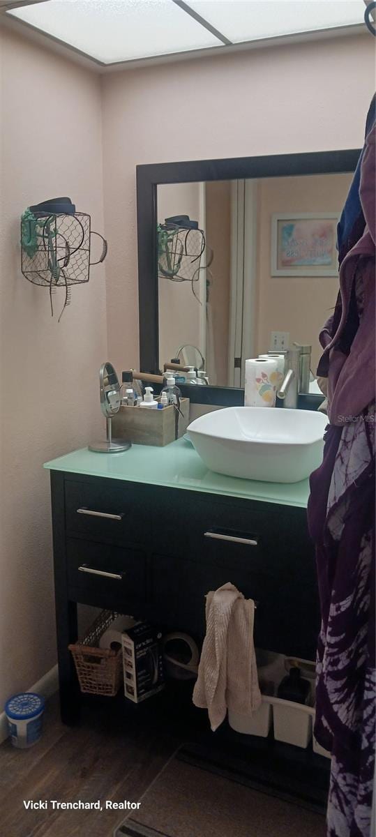 bathroom with vanity and wood-type flooring