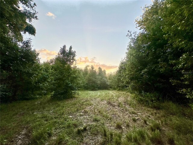 Science Dr, Brooksville, FL 34601 - photo 22