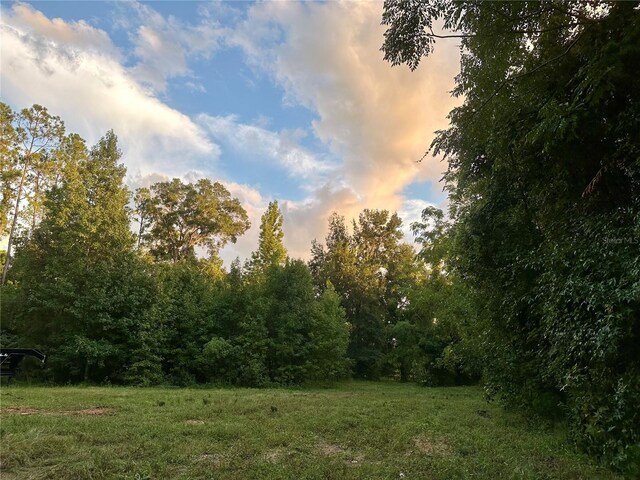 Science Dr, Brooksville, FL 34601 - photo 23
